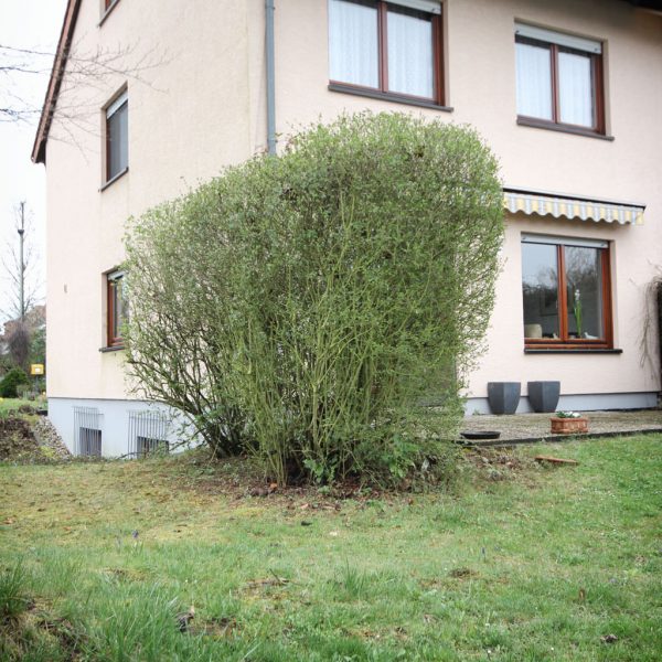 Wöllstadt_REH (10)
