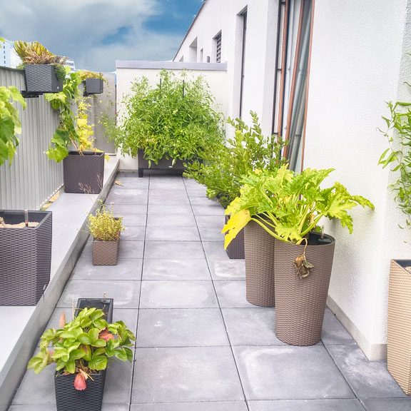 Penthouse – Frankfurt – Terrasse