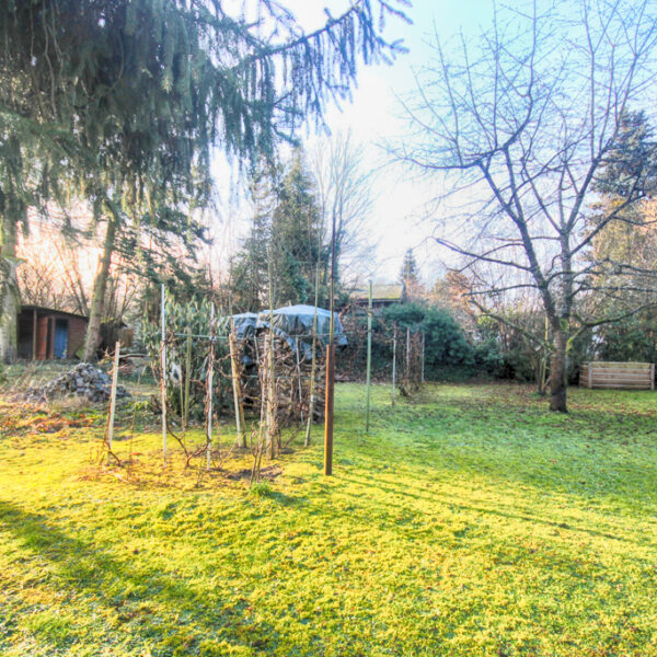 Grundstück (3)