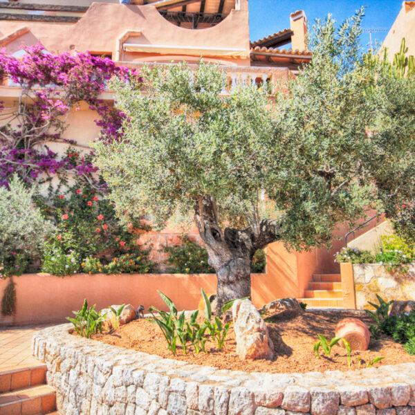Mallorca – Aldea (18)