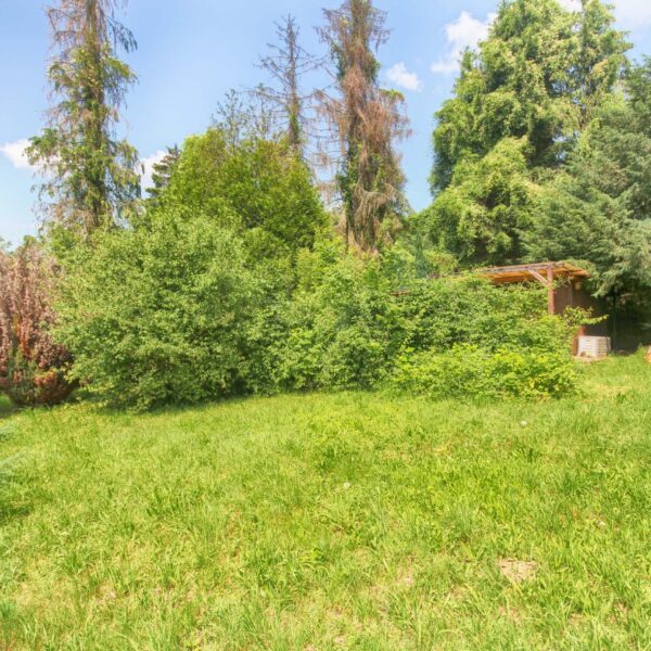 Garten Seckbach – Bild 4
