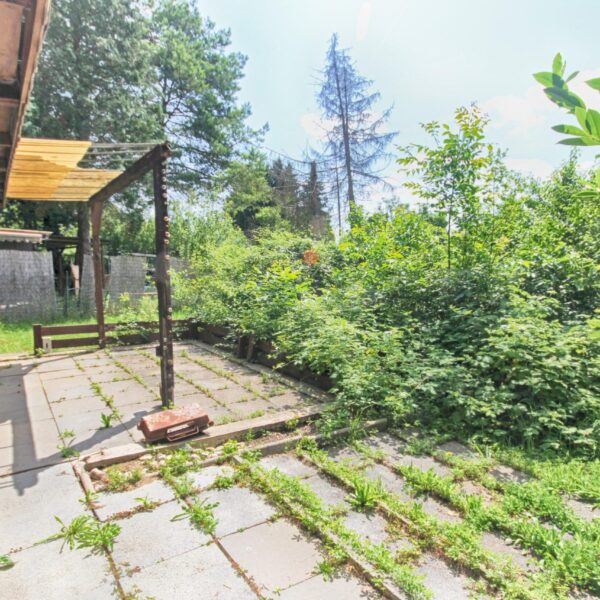 Garten Seckbach – Bild 9